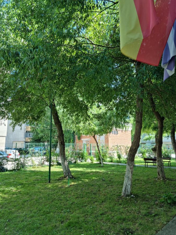 Appartamento Garsoniere Aby Turnu Măgurele Esterno foto
