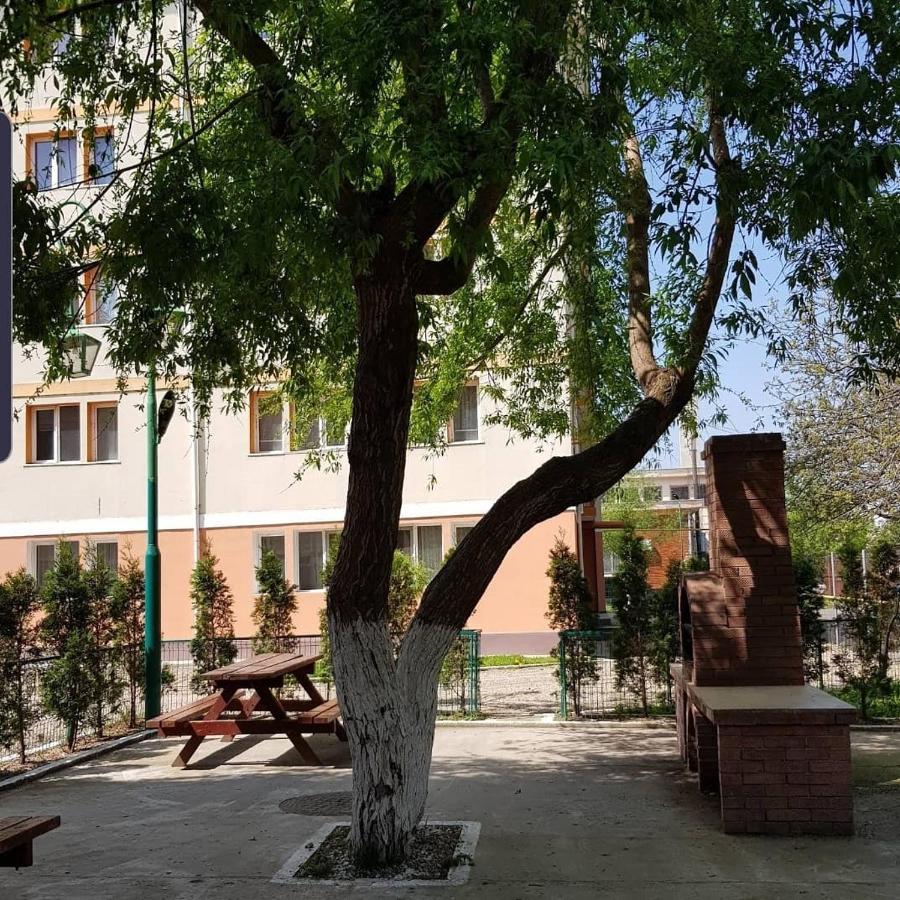 Appartamento Garsoniere Aby Turnu Măgurele Esterno foto