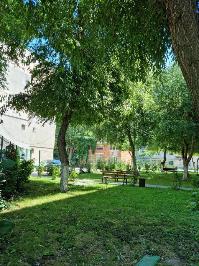 Appartamento Garsoniere Aby Turnu Măgurele Esterno foto